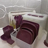 ظرف مسافرتی لیمون