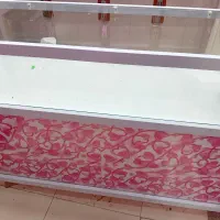 ویترین مغازه (قفسه)