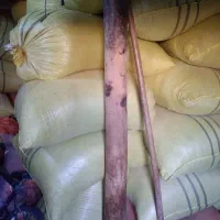 کاه گندم کاه کوب