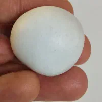 سنگ الماس L onosdalit