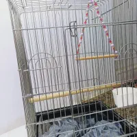 قفس پرنده|لوازم جانبی حیوانات|قدس, شهر‌قدس|دیوار