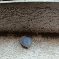 سنگ باباقوری|جواهرات|بوشهر, |دیوار