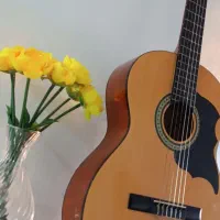 گیتار فروش فورری|گیتار، بیس، امپلیفایر|گرگان, |دیوار