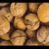 گردودرجه یک سپیدان تضمینی بدون خرابی