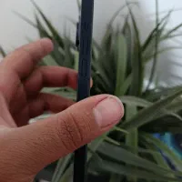 آیفون 13|موبایل|محمدشهر, شهرک چمران|دیوار