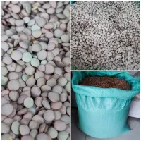 عدس روس فله ۲۵ کیلوگرمی