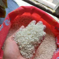 برنج خوش پخت و اعلاء