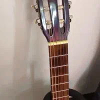 گیتار کلاسیک پرینس|گیتار، بیس، امپلیفایر|تهران, تهرانسر غربی|دیوار