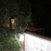 سوییت مبله باغ بهادران|اجارهٔ کوتاهمدت آپارتمان و سوئیت|باغ بهادران, |دیوار