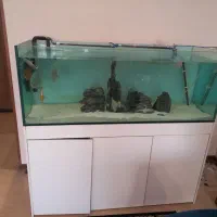 آکواریوم بزرگ سایز ۱۴۰