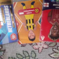 کیمدی دونه ای ۱۵