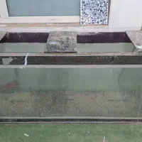 اکواریوم