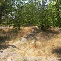 زمین-کلاغان-خیابان-مطهری