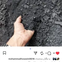 خاک ذغال|گل و گیاه طبیعی|مینودشت, |دیوار