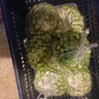 گوجه سبز