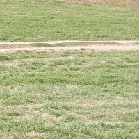 همه کارهای کشاورزی پذیرفته میشود