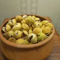 انجیر غنچه استهبان