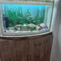 فروش آکواریوم بزرگ ۱متری شیشه خم تلویزیونی