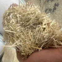 خوراک دام، جو، یونجه، کاه گندم|لوازم جانبی حیوانات|یزد, |دیوار