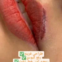 تخفیف یلدایی تتو بدن آرایش دائم ریموو و اموزش ها|خدمات آرایشگری و زیبایی|اردکان, |دیوار
