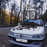 پژو پارس تیو فایو دریچه سیمی