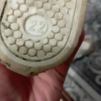 کفش سالم چند بار پوشیده شده