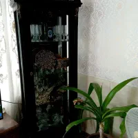 بوفه هالوژن دار