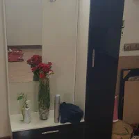 جاکفشی
