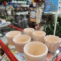 گلدان کاکتوسی سایز کوچک سرامیکی سرامیک ساکولنت|گل و گیاه طبیعی|قم, نیروگاه|دیوار