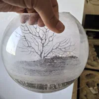 آکواریوم و لوازم آکواریوم