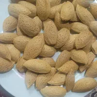 بادام سنگی درجه 1