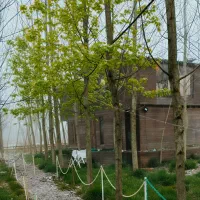 خانه-ای-رویایی-با-تمامی-امکانات