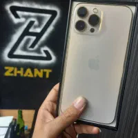 iphone 13 promax / Apple zhant|موبایل|شیراز, زند|دیوار