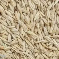 جو آبی شهبد درجه یک