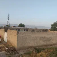 اجاره دامداری ترمینال کفکدک هجرت 8