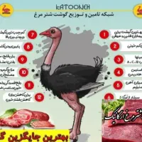 کهره بره گاوگوساله میش بزه خوردنی|حیوانات مزرعه|یاسوج, |دیوار