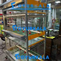 فروش بهتر+اکبر جوجه با قفس جوجه / قفس مرغ گوشتی|لوازم جانبی حیوانات|محمودآباد, |دیوار