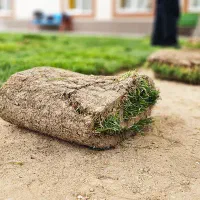 چمن رول طبیعی از تولید به مصرف