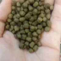 غذای ماهی|ماهی|تهران, ترمینال جنوب|دیوار