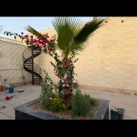 استخدام نیروی کافه باریستاسالن دارمحدوده هوانیروز