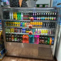 یخچال ویترینی تمام استیل