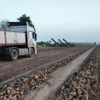 زمین آبی شراکتی میخام ، اجاره