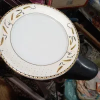 ظرف پذیرایی