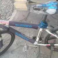 دوچرخه 26 رامبو