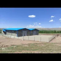 فروش یا مشارکت مرغداری