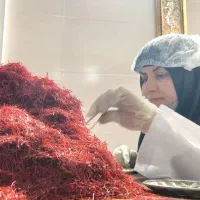 تعاونی زعفران ( عمده وجزء)|عمده‌فروشی|تهران, شهرک صدرا|دیوار