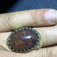 انگشتر شجر پاییزه معاوضه