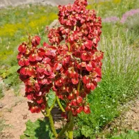 سوال دارم|فعالیت داوطلبانه|تهران, جنت‌آباد جنوبی|دیوار