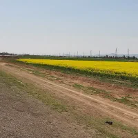 34-هکتار-بهر-اتوبان-برای-اجاره