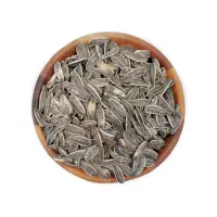 تخمه خوی فقط عمده